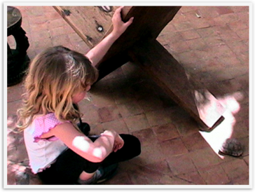 Img_3611 Img_3611
