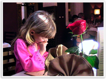 Img_3666 Img_3666