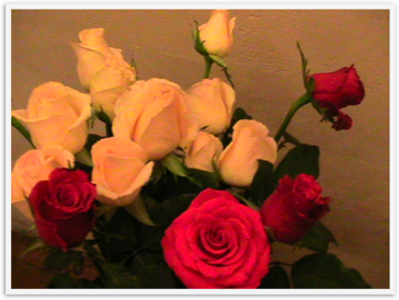 Img_3673 Img_3673