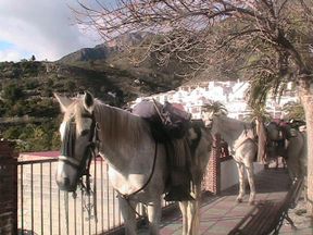 Img_4001_2 Img_4001_2