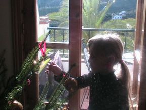 Img_4041 Img_4041