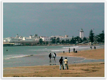 Img_4053 Img_4053
