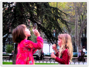 Img_4304 Img_4304