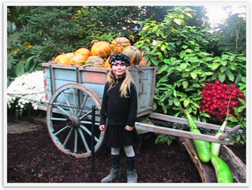 Img_4336 Img_4336