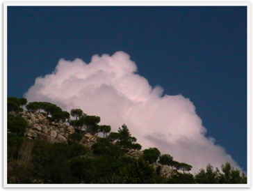 Img_4352 Img_4352