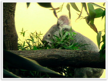 Img_4357 Img_4357