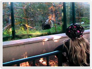 Img_4379_2 Img_4379_2
