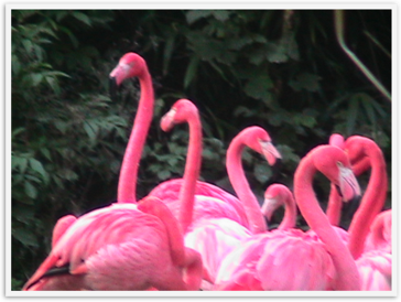 Img_4440 Img_4440