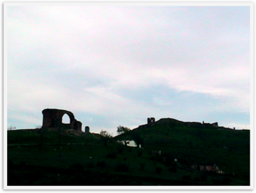 Img_4443 Img_4443