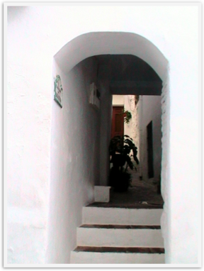 Img_4467 Img_4467