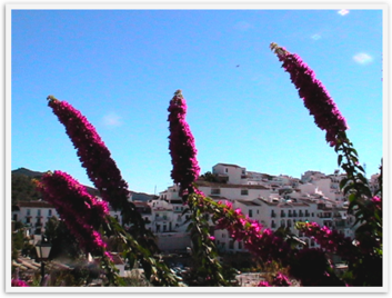 Img_4513_2 Img_4513_2