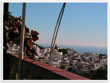 Img_4526 Img_4526