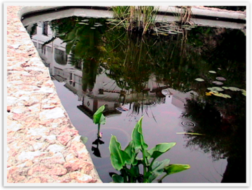 Img_4585 Img_4585