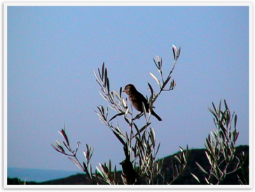 Img_4649 Img_4649