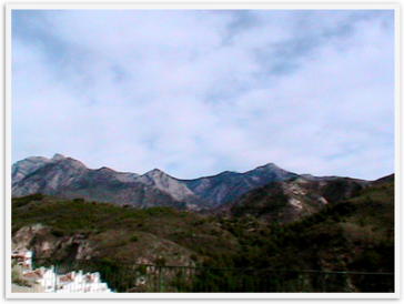 Img_4736 Img_4736