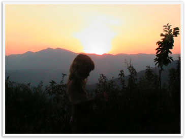 Img_4954 Img_4954