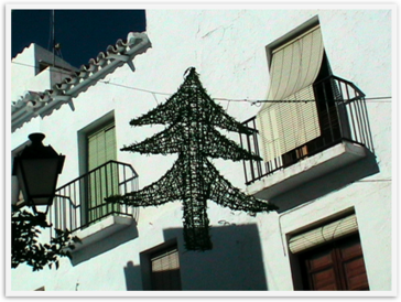 Img_5017 Img_5017