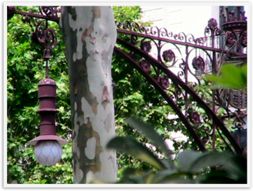 Img_5160 Img_5160