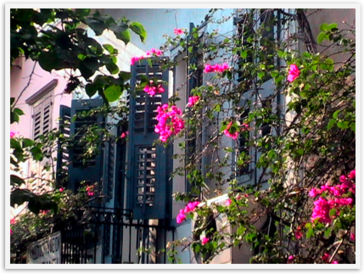 Img_5325 Img_5325