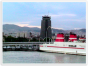 Img_5516 Img_5516