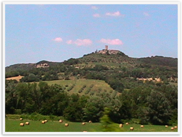 Img_5913 Img_5913
