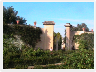 Img_5960 Img_5960