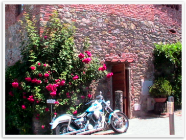 Img_6003 Img_6003