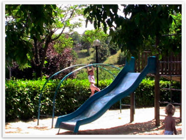 Img_6024 Img_6024