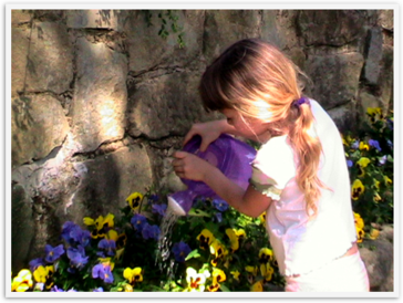 Img_6030 Img_6030