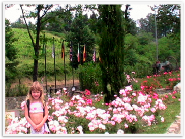 Img_6158 Img_6158