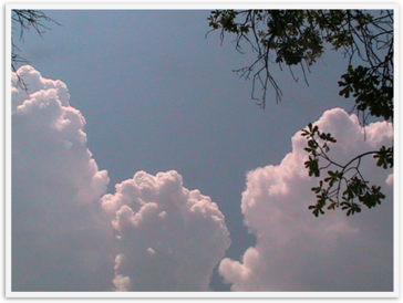 Img_6209 Img_6209