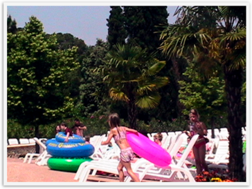 Img_6219 Img_6219