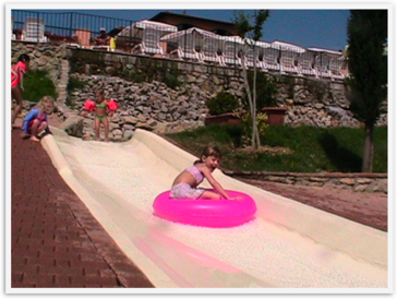 Img_6341 Img_6341