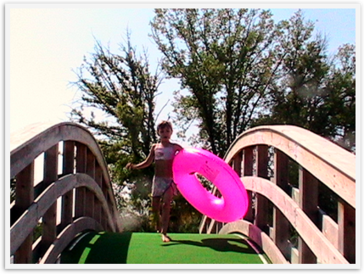 Img_6350 Img_6350