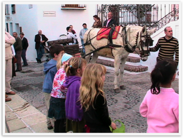 Img_6670 Img_6670