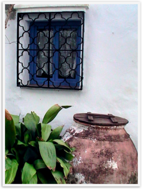 Img_6766 Img_6766