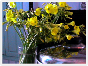 Img_7068 Img_7068