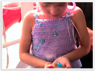 Img_7247 Img_7247