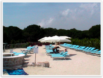 Img_7267 Img_7267