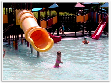 Img_7298 Img_7298