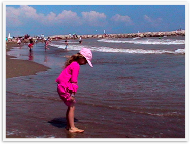 Img_7392 Img_7392