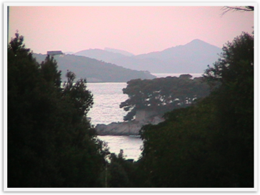 Img_7395 Img_7395