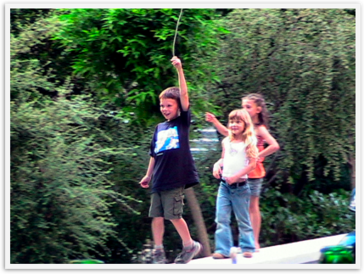 Img_7595 Img_7595