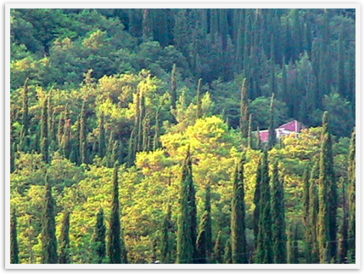 Img_7903 Img_7903