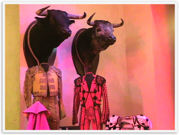 Img_8084 Img_8084