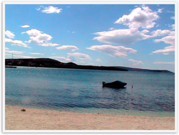 Img_8287 Img_8287