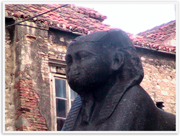 Img_8330 Img_8330
