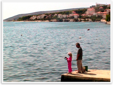 Img_8456 Img_8456
