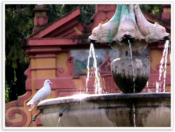 Img_8746 Img_8746