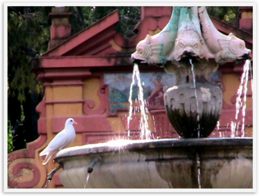 Img_8746_2 Img_8746_2